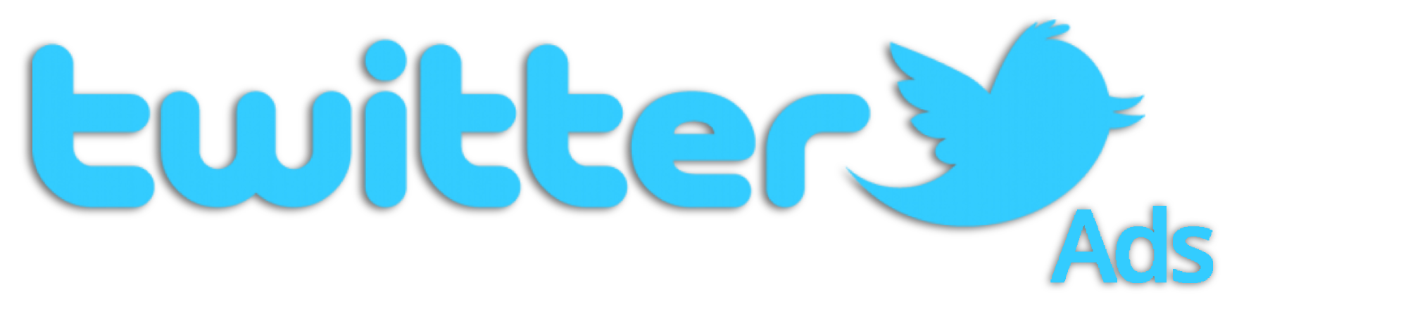 Twitter Ads Logo